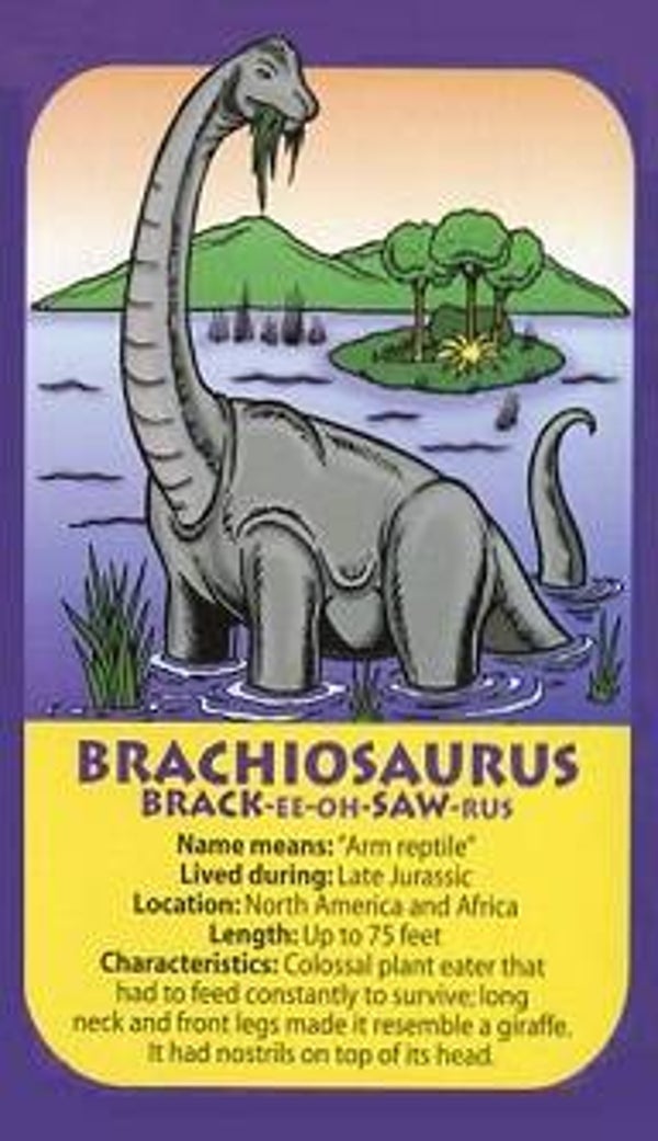 Dinosaur Magnet #120