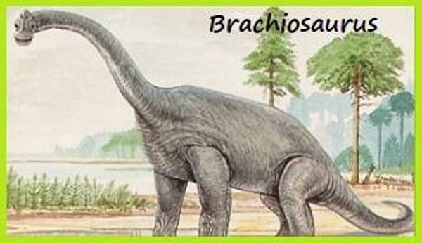 Dinosaur Magnet #121