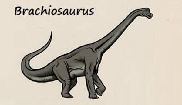 Dinosaur Magnet #125
