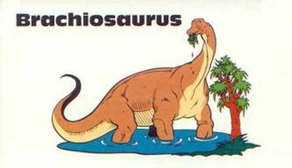 Dinosaur Magnet #128