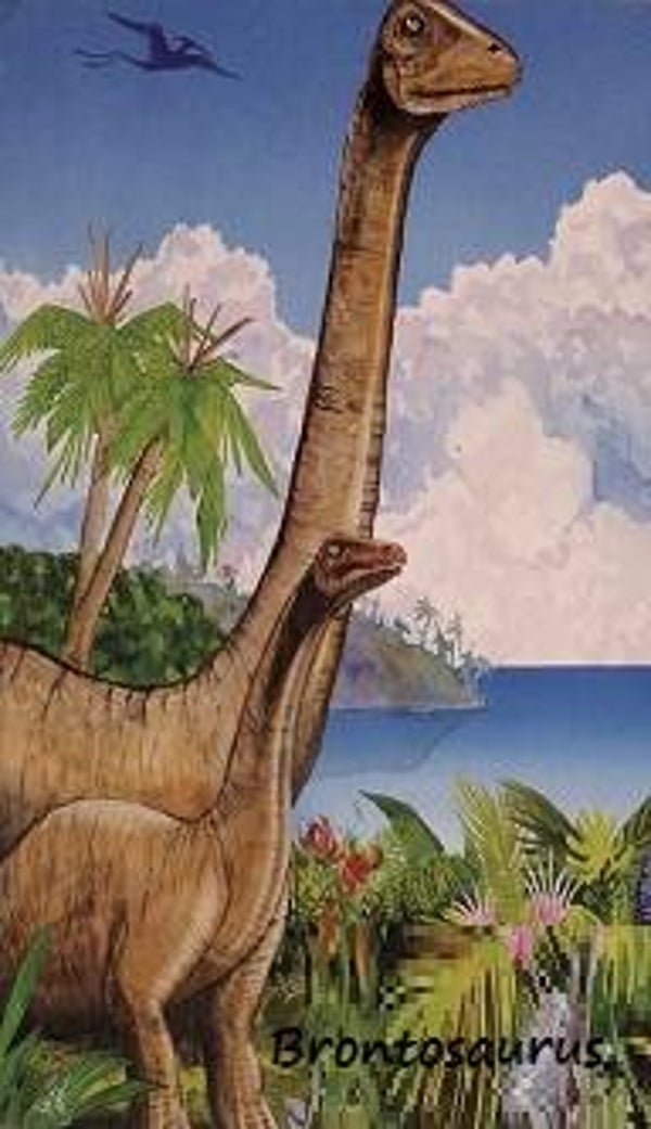 Dinosaur Magnet #136