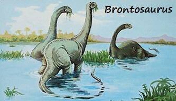 Dinosaur Magnet #138