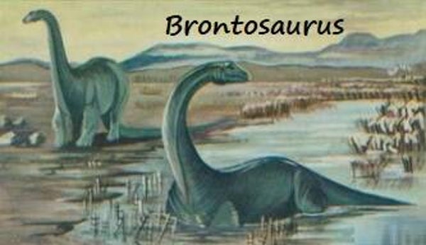 Dinosaur Magnet #139
