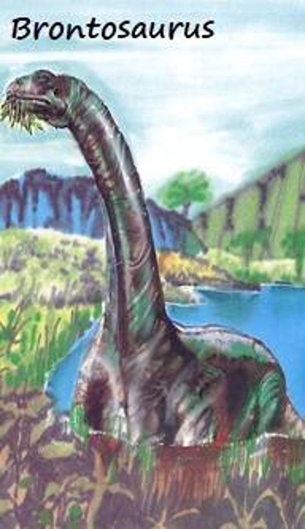 Dinosaur Magnet #140