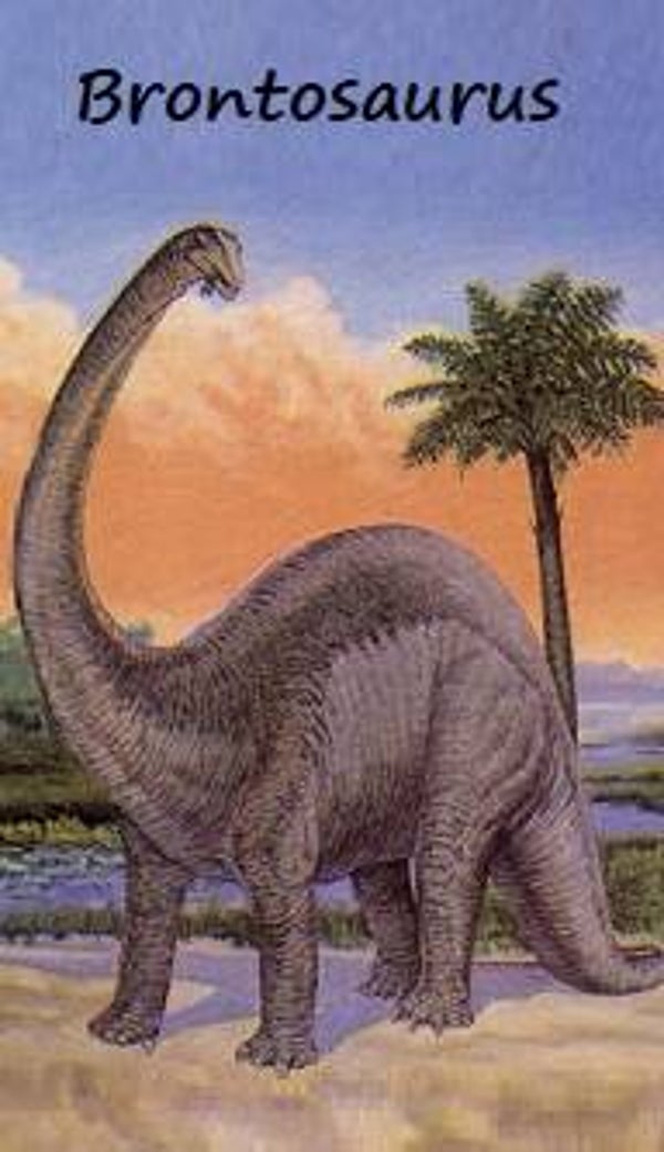 Dinosaur Magnet #142