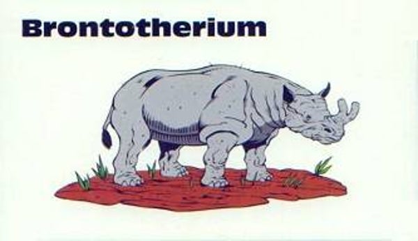 Dinosaur Magnet #146