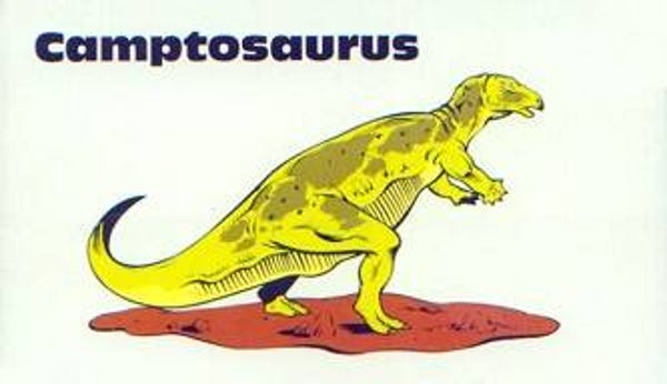 Dinosaur Magnet #156