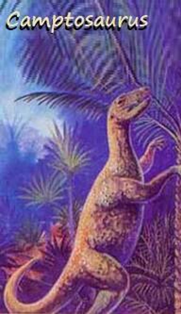Dinosaur Magnet #157
