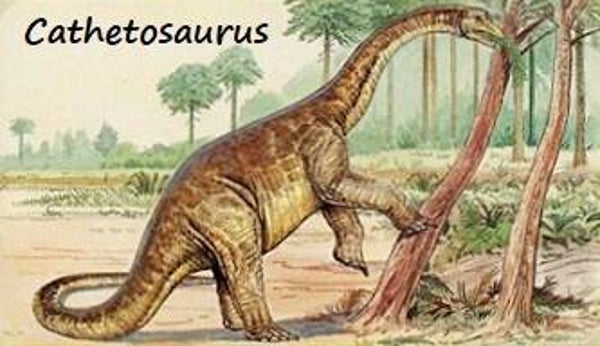 Dinosaur Magnet #161
