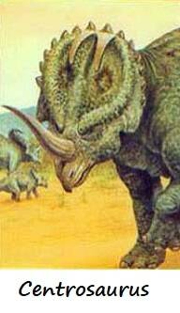 Dinosaur Magnet #162