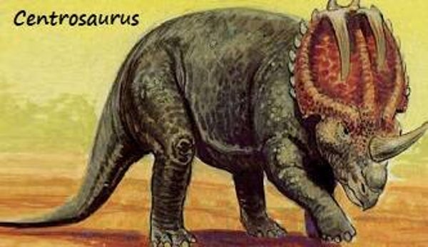 Dinosaur Magnet #163