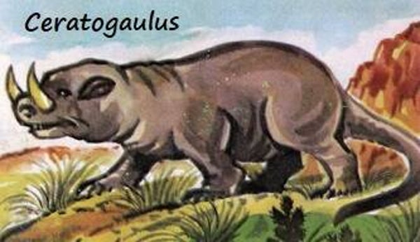 Dinosaur Magnet #166