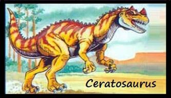 Dinosaur Magnet #170