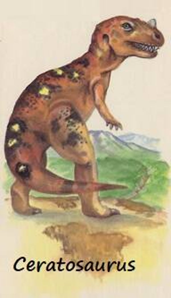 Dinosaur Magnet #178