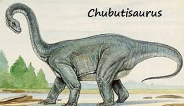 Dinosaur Magnet #185