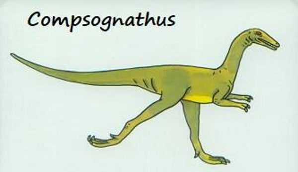 Dinosaur Magnet #195