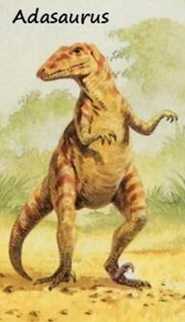 Dinosaur Magnet #2