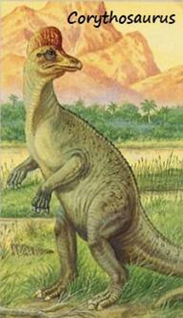 Dinosaur Magnet #200