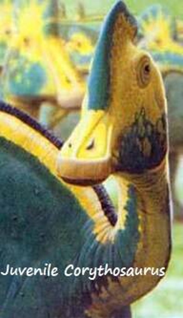 Dinosaur Magnet #205