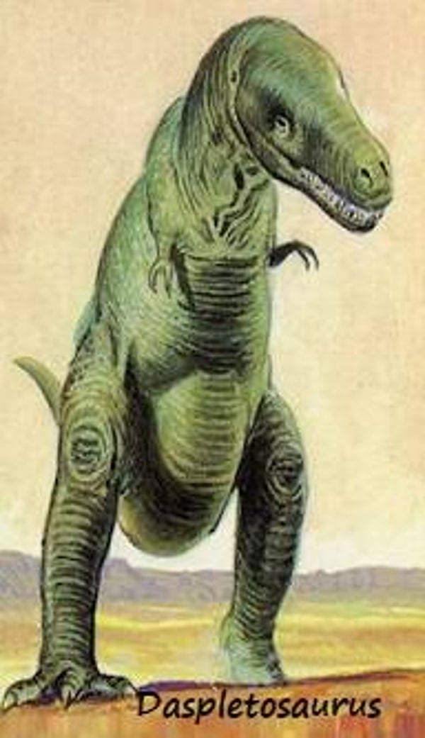 Dinosaur Magnet #211