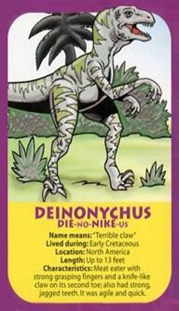 Dinosaur Magnet #213