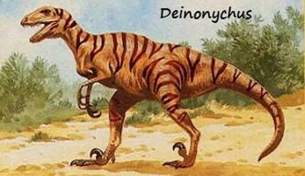 Dinosaur Magnet #214