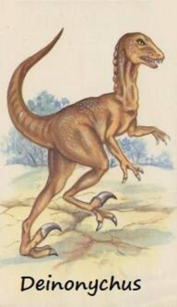 Dinosaur Magnet #216