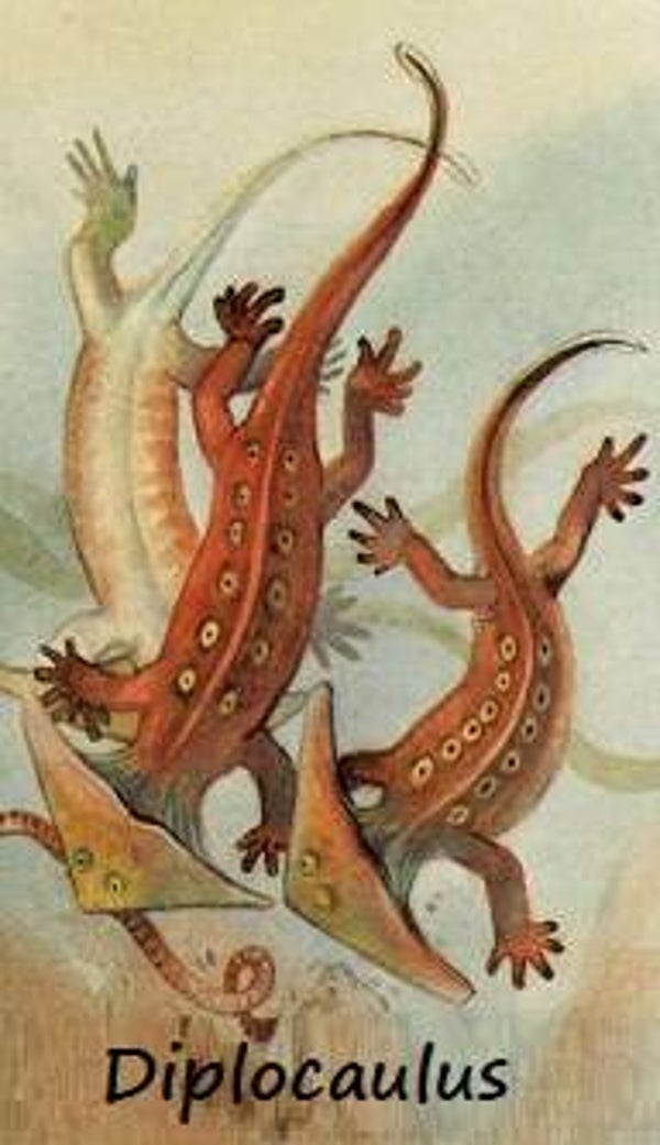Dinosaur Magnet #253