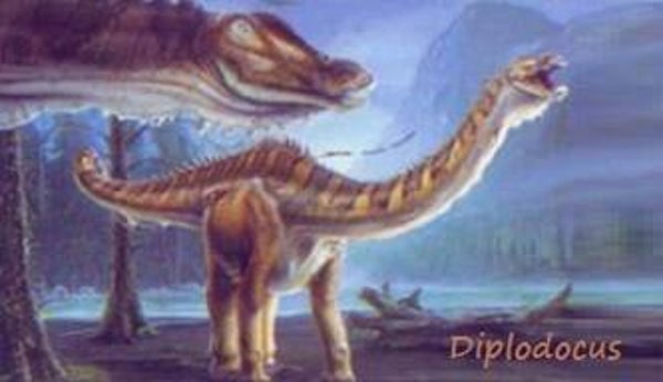Dinosaur Magnet #254