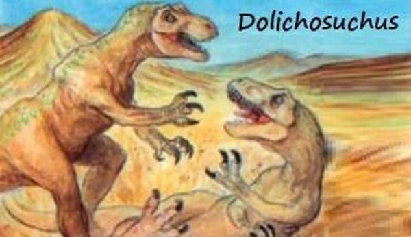 Dinosaur Magnet #262