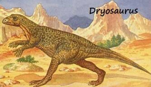 Dinosaur Magnet #266