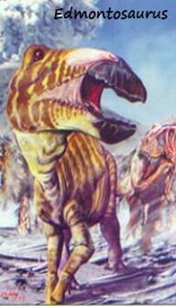 Dinosaur Magnet #271