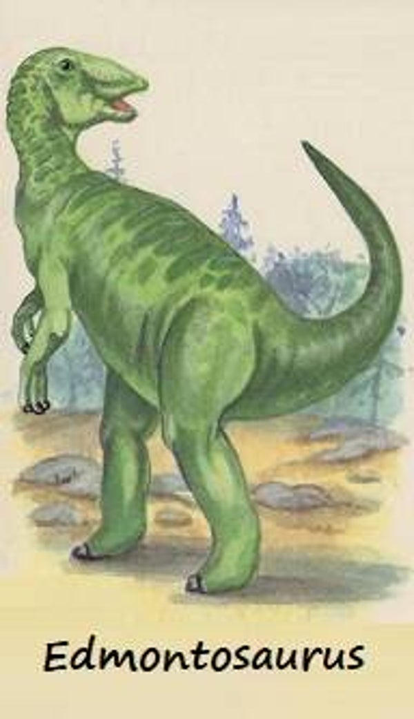 Dinosaur Magnet #275