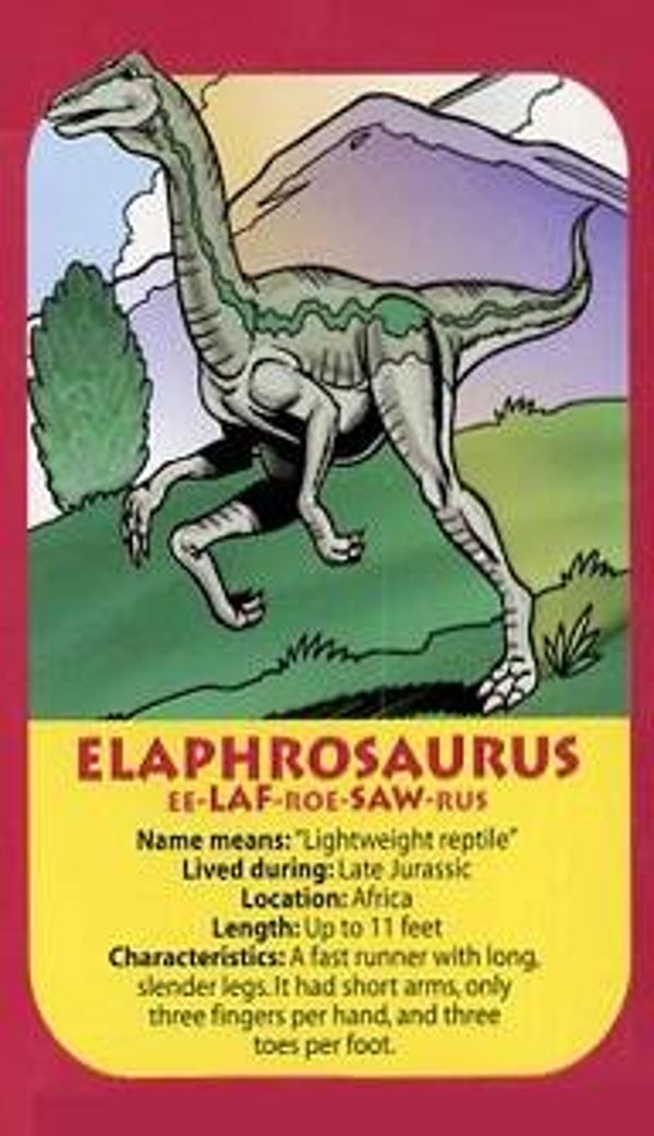Dinosaur Magnet #276