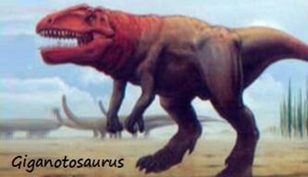 Dinosaur Magnet #295