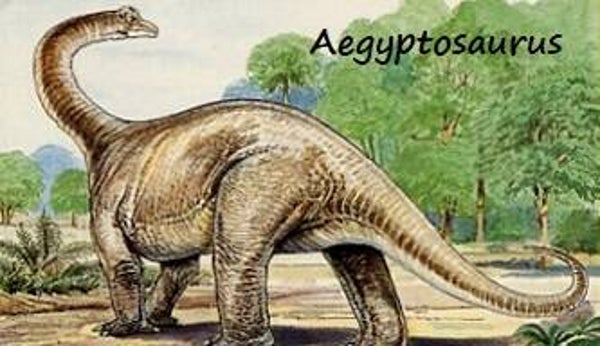 Dinosaur Magnet #3