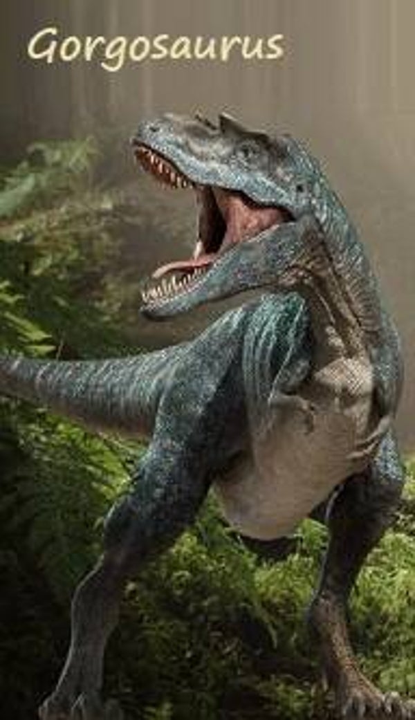Dinosaur Magnet #302