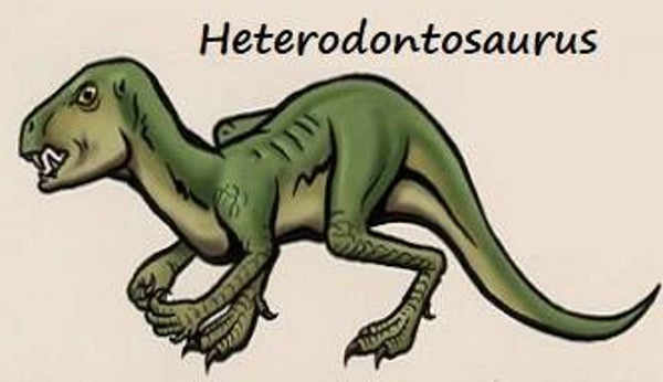 Dinosaur Magnet #313