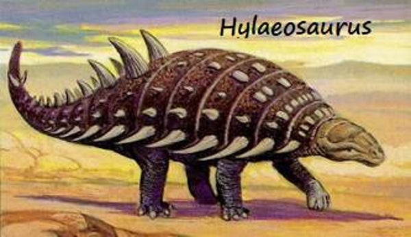 Dinosaur Magnet #317