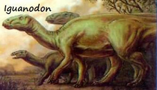 Dinosaur Magnet #320