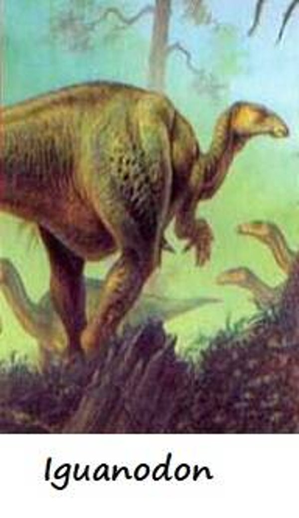 Dinosaur Magnet #321
