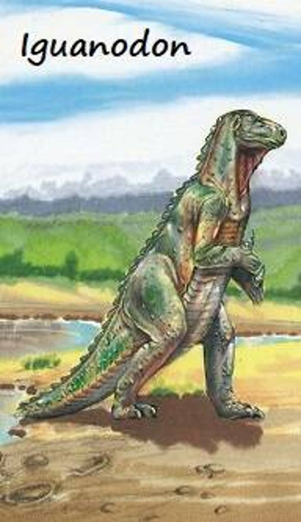 Dinosaur Magnet #329