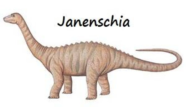 Dinosaur Magnet #334-1