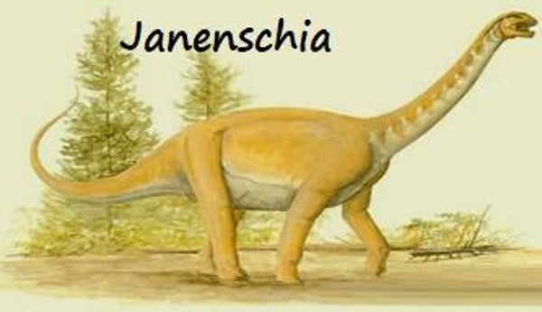 Dinosaur Magnet #334-2