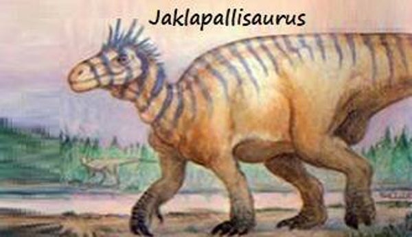 Dinosaur Magnet #334