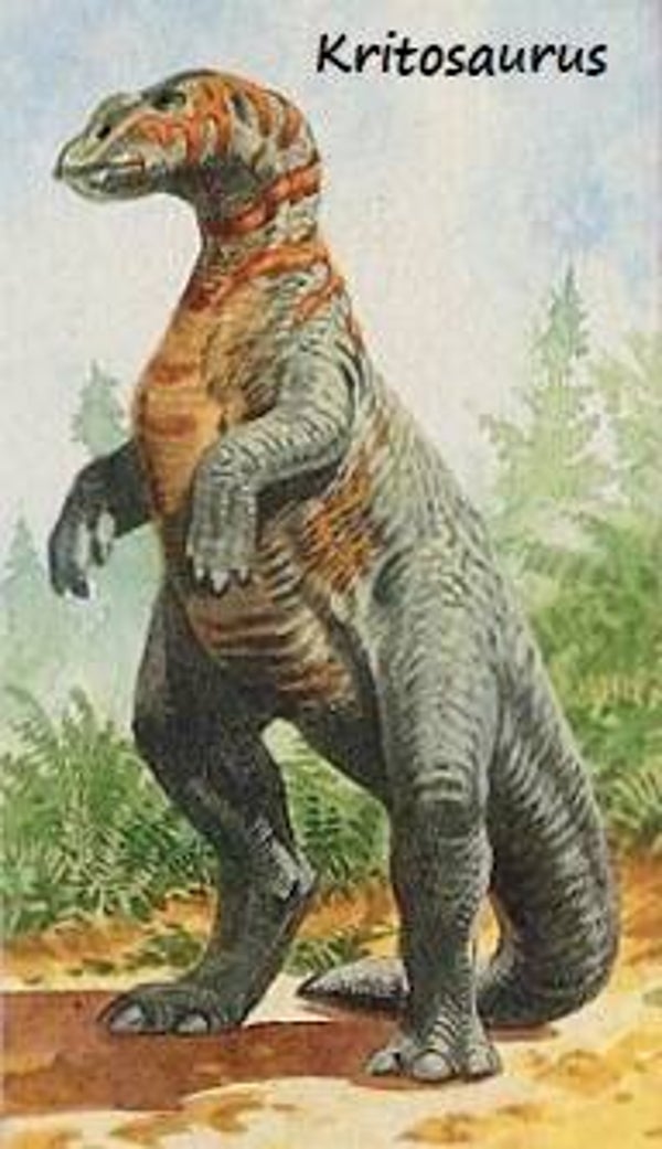 Dinosaur Magnet #341
