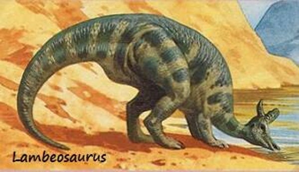 Dinosaur Magnet #345