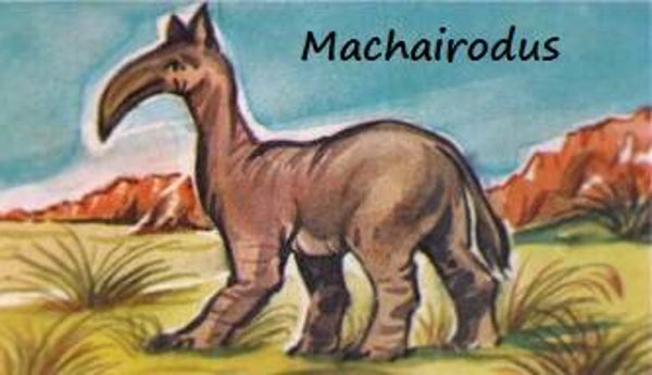 Dinosaur Magnet #355