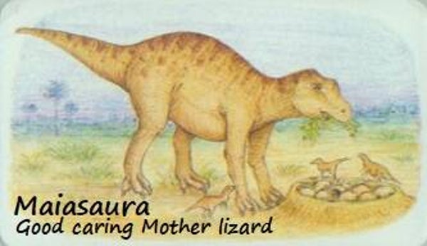 Dinosaur Magnet #358
