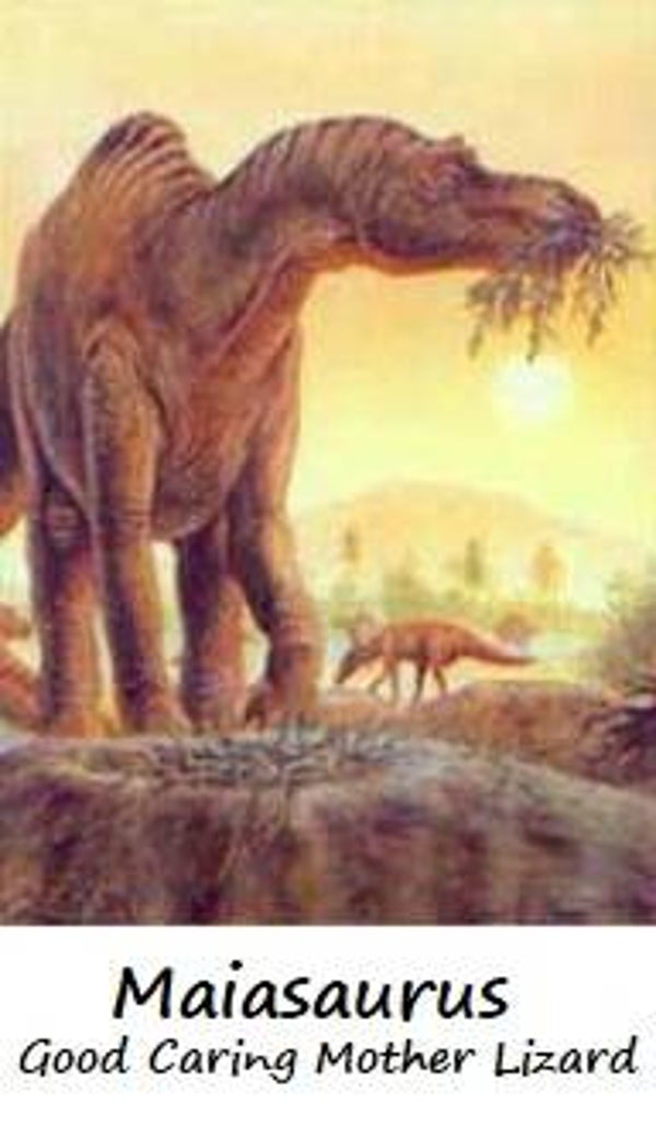 Dinosaur Magnet #359